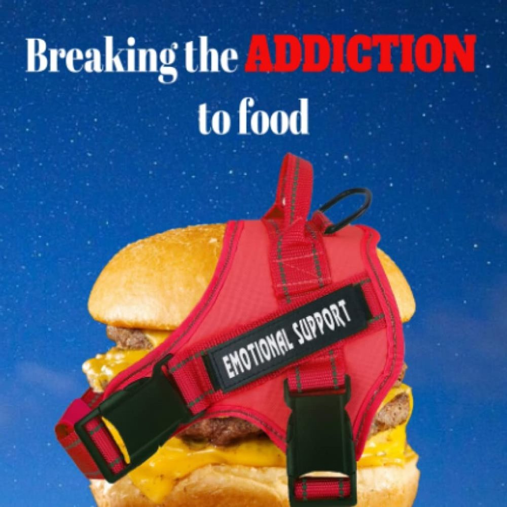Breaking the Addiction to food!  Your Guide to taking control back!